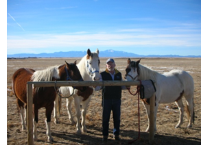 Tim with his horses